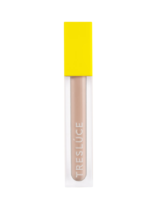 B103 Detailed Crease Brush – Tresluce Beauty